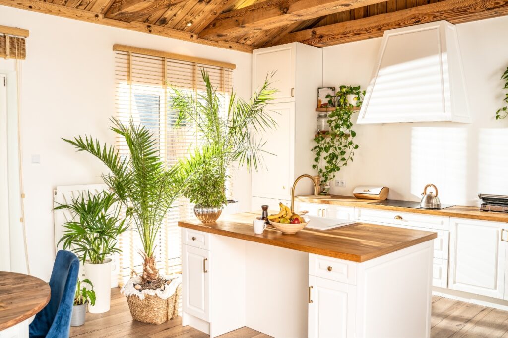 A bright kitchen with white cabinets, a wooden countertop island, indoor plants, natural light from windows, a white range hood, and a kettle on the stove reflects modern kitchen design trends.