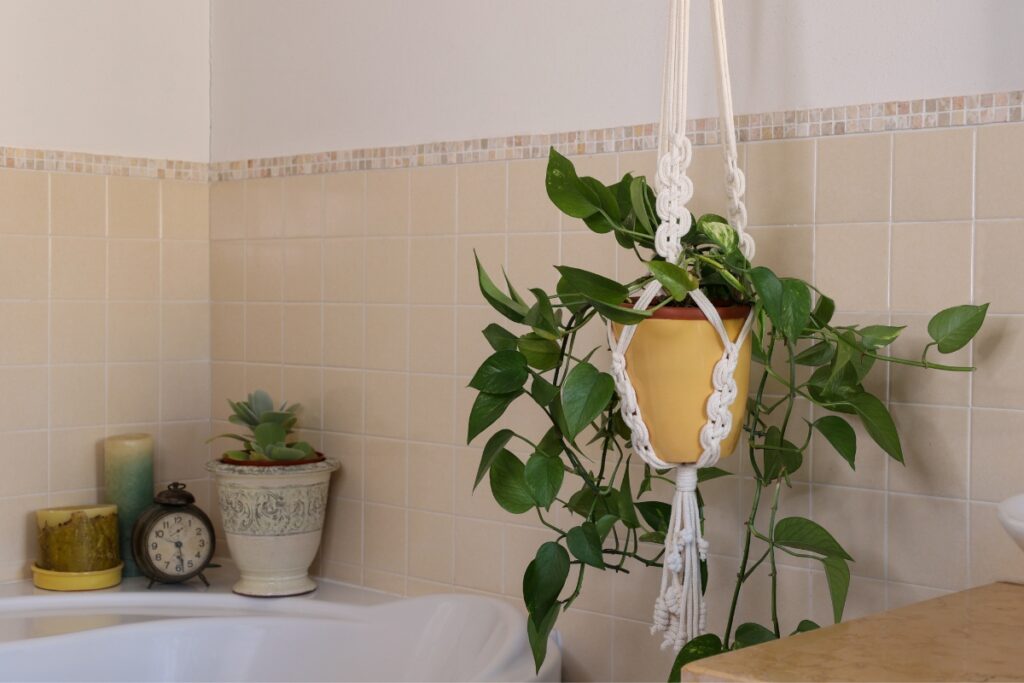 A hanging plant in a macramé holder is positioned above a bathtub in a tiled bathroom. Nearby, as part of your diy bathroom projects, a small table holds a potted plant, candles, and an old-fashioned alarm clock.