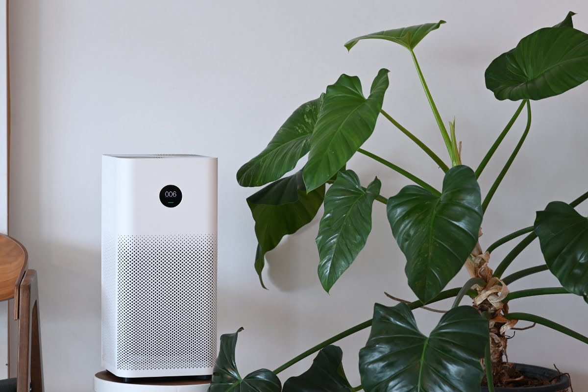 A white air purifier with a digital display stands beside a large green potted plant in a room with plain white walls, embodying the essence of healthy home design.