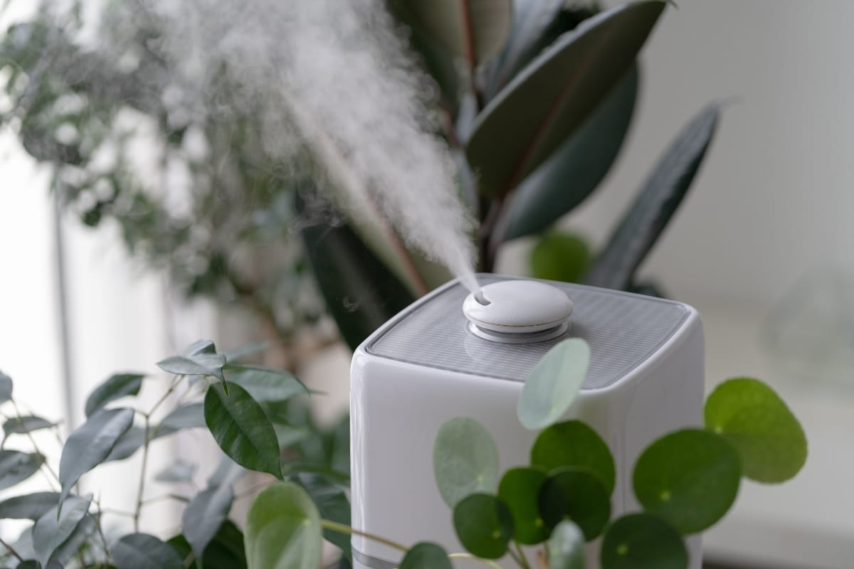 A white humidifier releasing mist is nestled among green plants, blending seamlessly with your kitchen appliances.