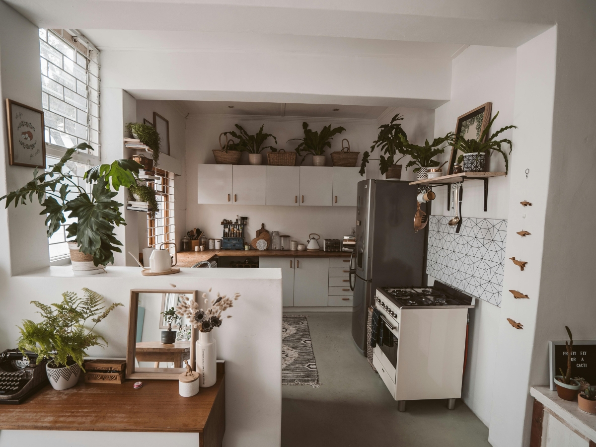 A modern kitchen staging showcases white cabinets, a black refrigerator, a gas stove, and many potted plants on shelves and counters. Natural light pours in through a large window.